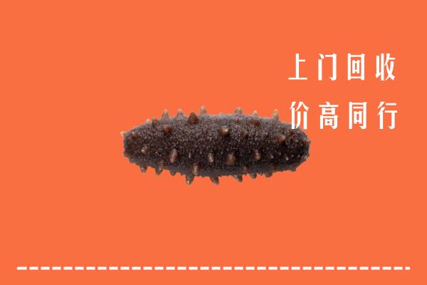 康县高价回收海参