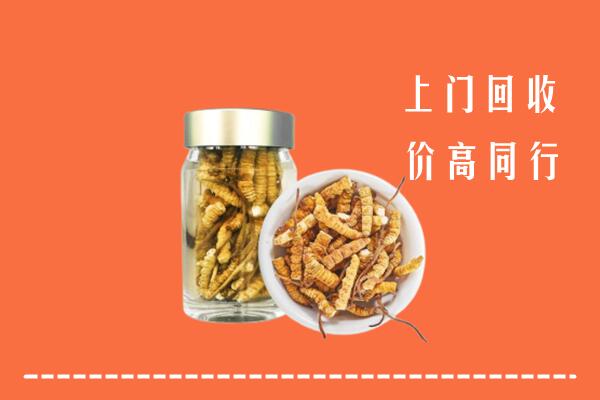 康县回收冬虫夏草