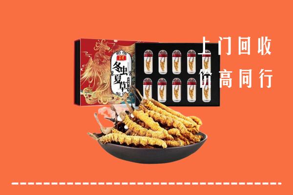 康县回收虫草